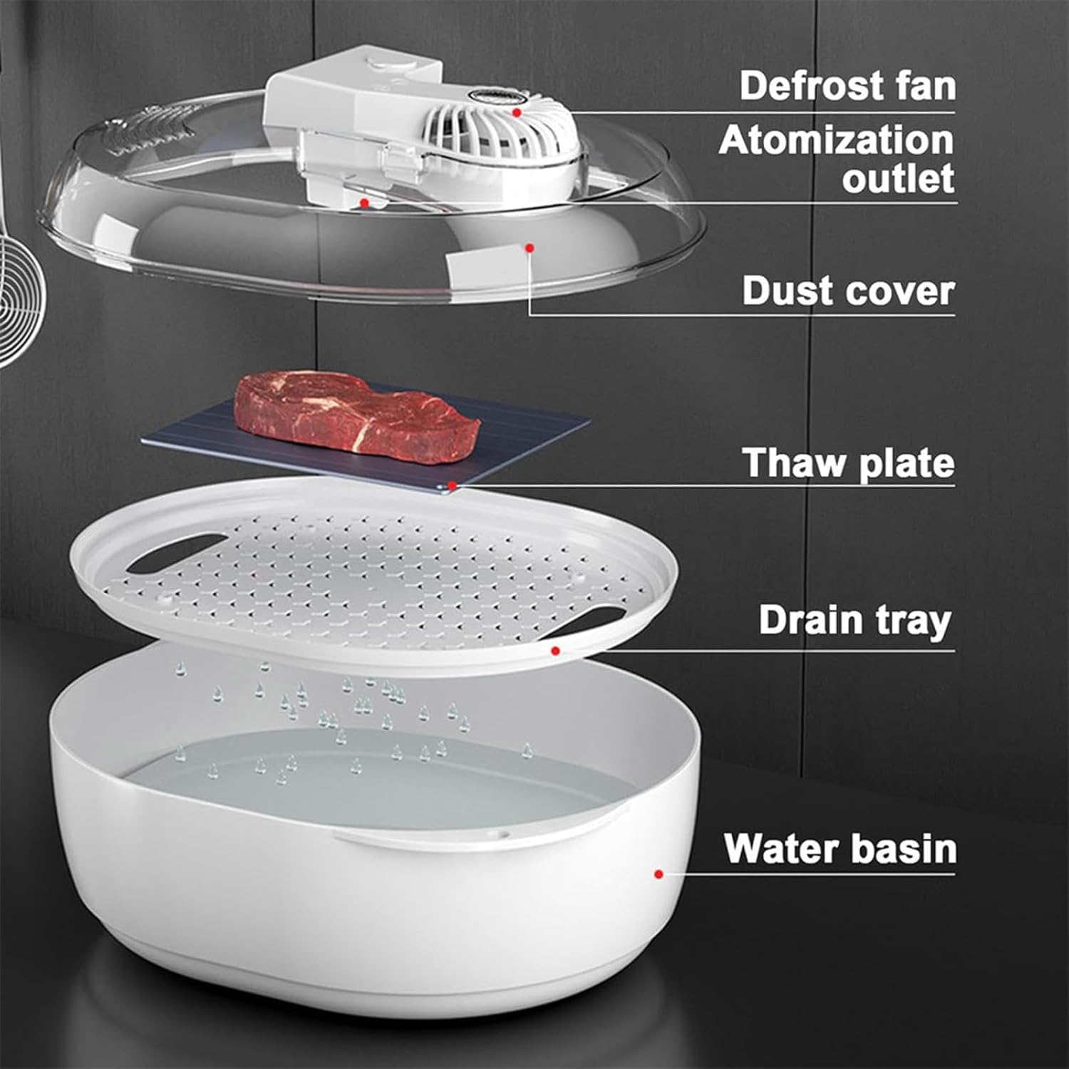 Meat Defrosting Machine
