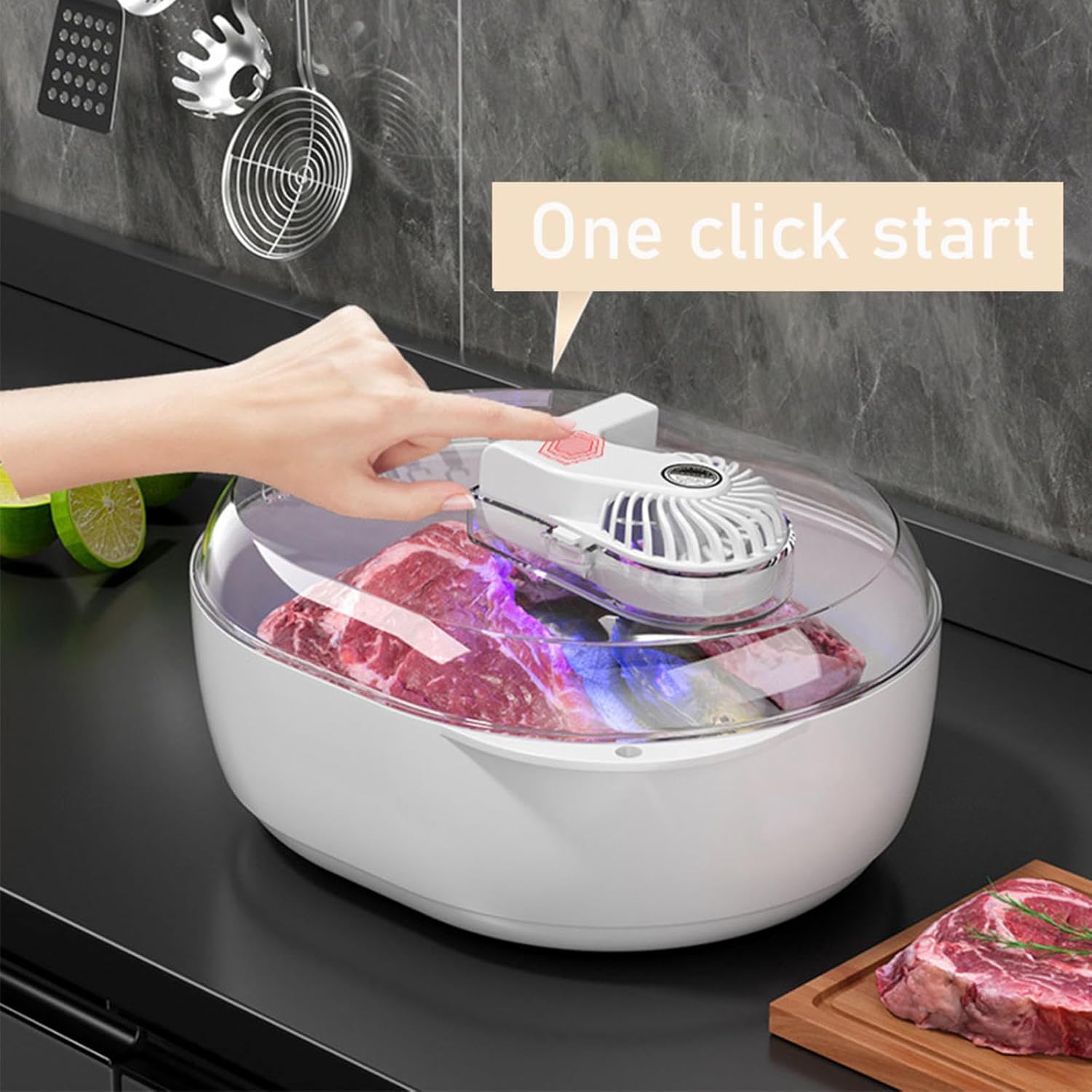 Meat Defrosting Machine